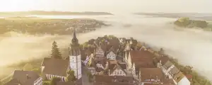 Vorschaubild vorheriger Kunde: Stadt Dornstetten